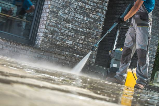 Best Dumpster Area Cleaning  in Nappanee, IN